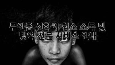 무안읍 신학리 청소: 소독 및 방역 전문 서비스 안내